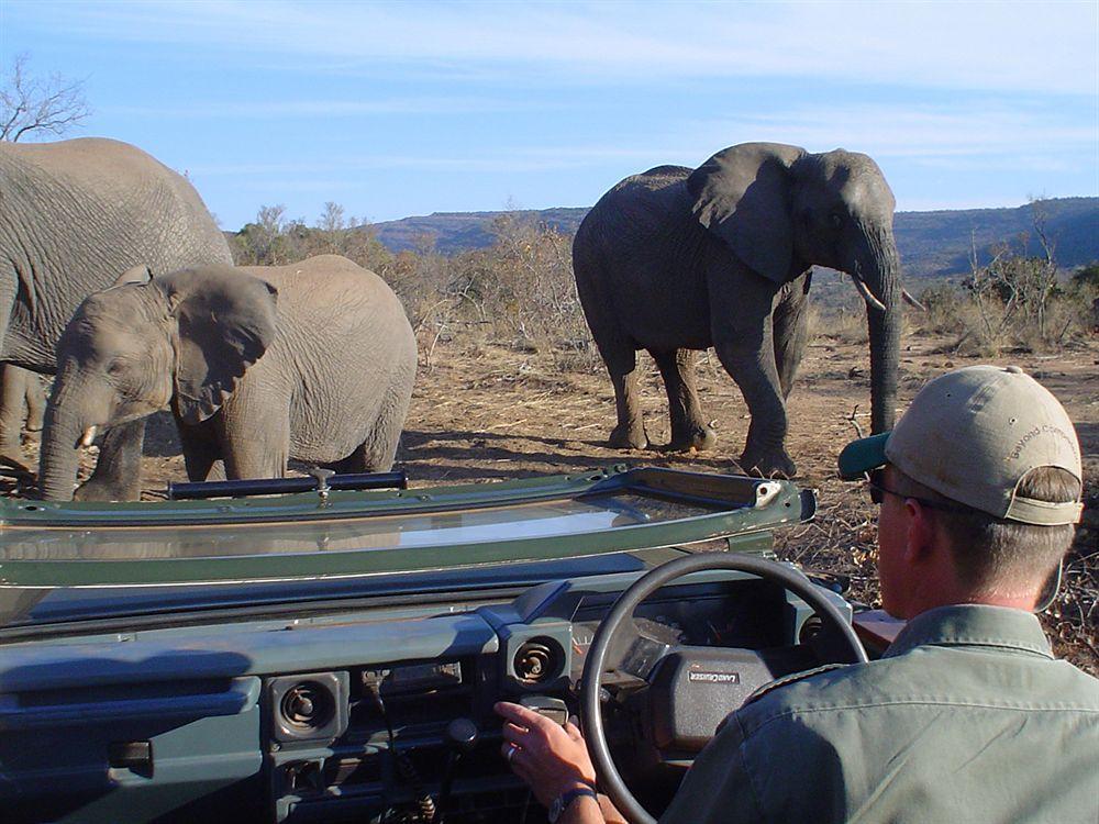 Entabeni Mountain Lodges Mmamatlakala Bagian luar foto
